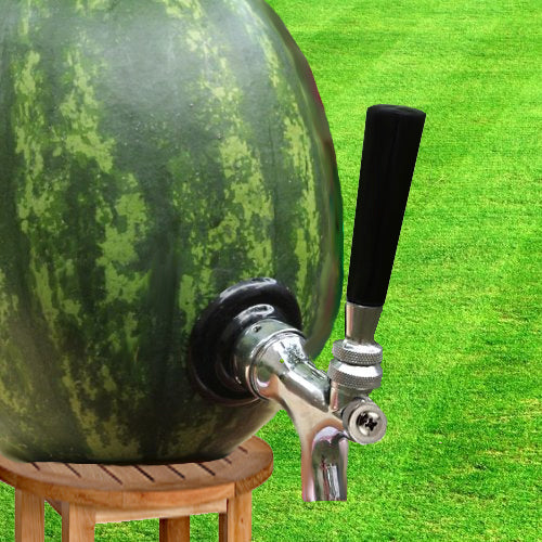 Watermelon / Pumpkin Tap Kit, Self Close Faucet Draft Warehouse